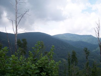 100_3959.JPG