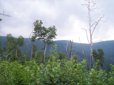 100_3960.JPG