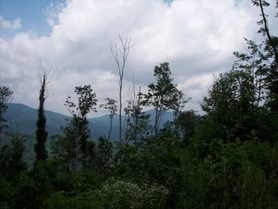 100_3961.JPG