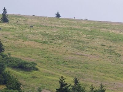 100_3935.JPG