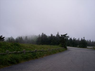 100_3938.JPG
