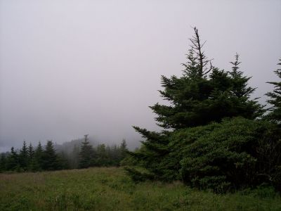 100_3940.JPG