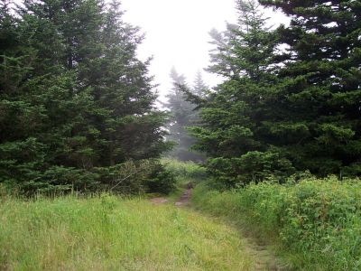 100_3941.JPG