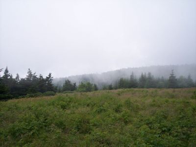100_3942.JPG