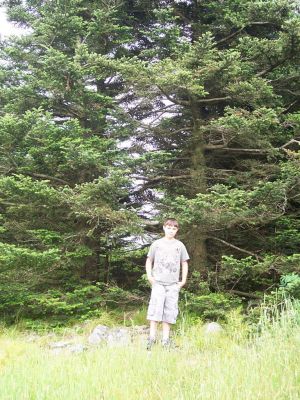 100_3946.JPG
