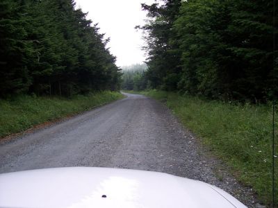 100_3952.JPG