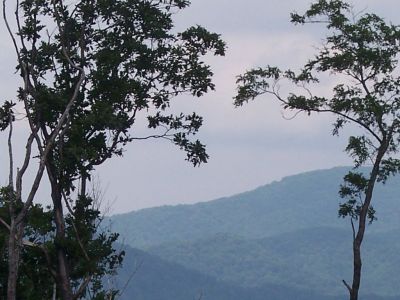 100_3958.JPG
