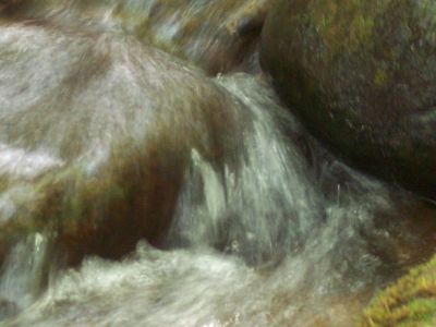 100_3967.JPG