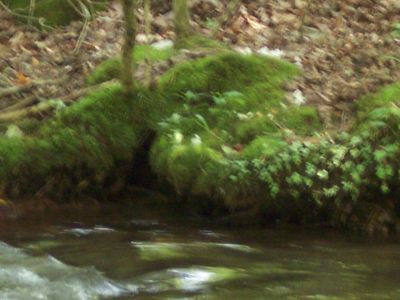 100_3969.JPG