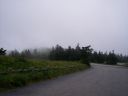 100_3938.JPG