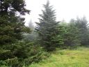 100_3939.JPG
